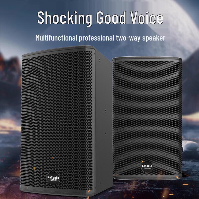 KaYouLa KYL-112 12-inch Professional Full-Range Speaker