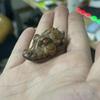 Golden Sandalwood Crocodile Small Ornament – Handheld Office Décor Petit Wood Carving Pendant Gift