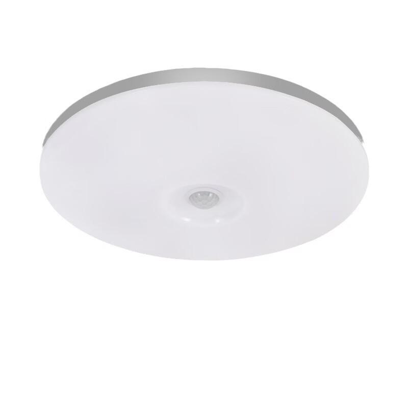 OEING Motion Sensor LED Ceiling Light (Pack of 2)
