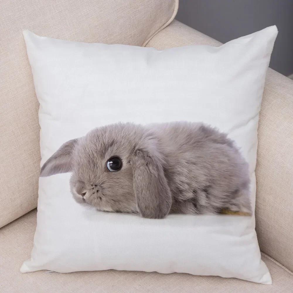 Home Sofa Kids Room Decor Cute Pet Animal Print Cushion Cover Pillowcase  Rabbit