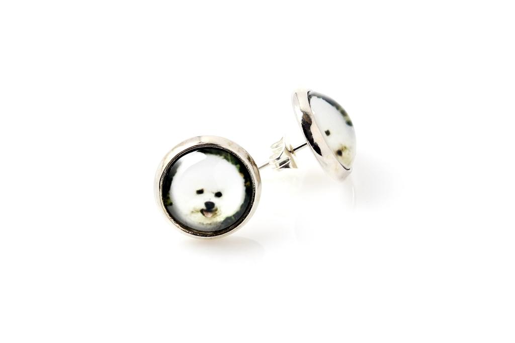 Bichon Frise, Bichon Tenerife, Bichon a Poil Frise - Earrings Your Photo Handmade, Own Photo, Jewelry from the Art.-Dog Brand