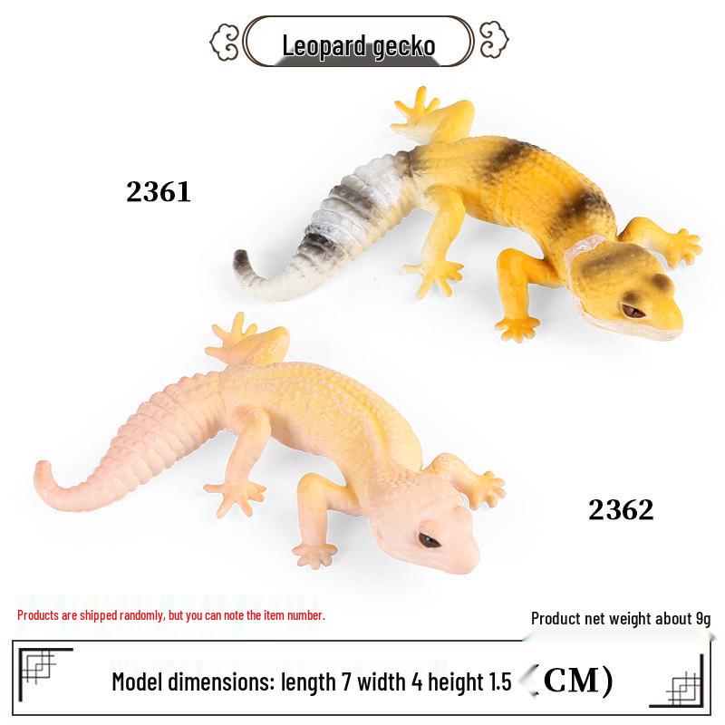 Wild Safari Animal Figurines: Giraffe, Elephant, Rhinoceros, Brown Bear, Tiger, Lion, Leopard, Hippopotamus - Solid Cognitive Toys