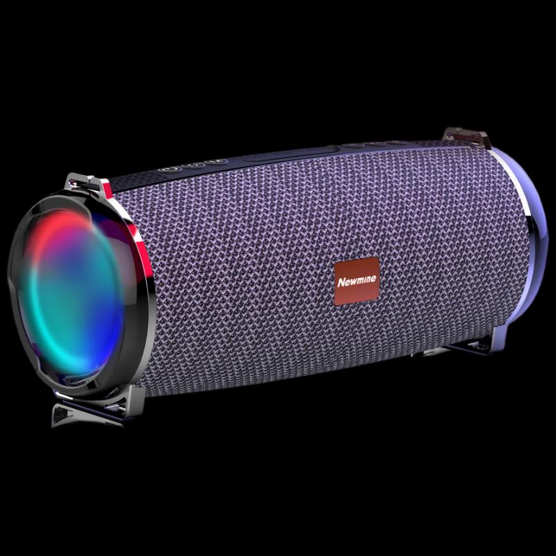 Newmine BT33 Wireless Portable Bluetooth Speaker