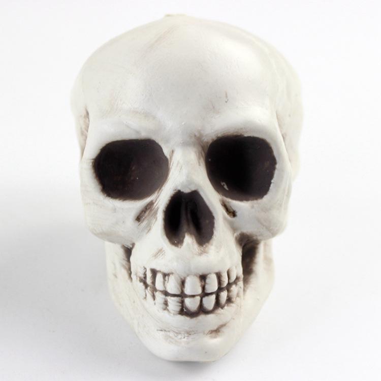 Shuomei menschliches Schädelmodell für Halloween-Dekoration & Spukhaus-Ornamente