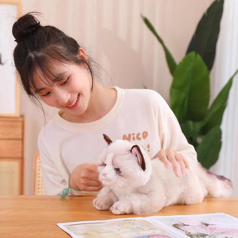 HOKESS Ragdoll Cat Plush Lifelike Soft Stuffed Kitten Birthday Gift for and Cat Lovers 20-inch Toy, Animal, Boys, Girls, Kids,
