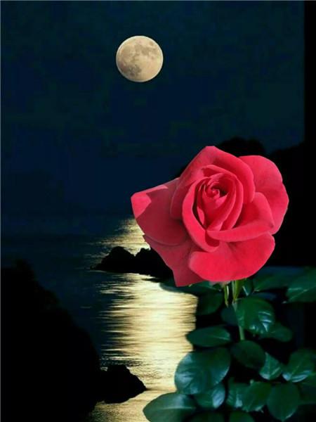 5D DIY Diament Malarstwo Nowy Kwiat Róży Dżetów Diament Haft Sprzedaż Krajobraz Nadmorski Mozaika Wystrój Domu