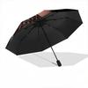 1pc Ayliva Exquisite Poster Art Umbrella Portable Folding Umbrella Iron Frame Hole Bone Structure Outdoor Home Umbrella