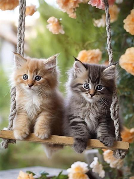 5D Diamond Painting Cat Full Round Mosaic Embroidery Animal Handmade Gift Home Decor