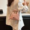 Women's Simple Handbag 2025 Spring New Versatile Shoulder Messenger Bag Texture Small Square Bag Women