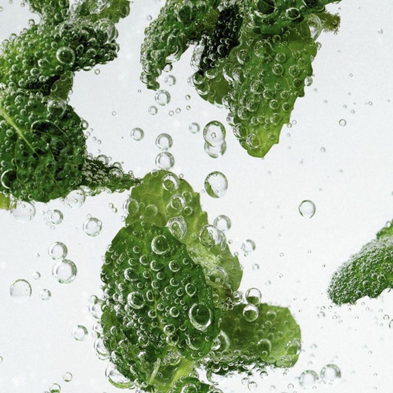 Nesh Mint Biome Scalp Deep Cleansing Shampoo 250ml (2 Types)