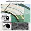 3 X 2 M Polytunnel Greenhouse, with Windows and Doors - Green