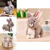 Adorable Plush Rabbit Toy Soft Cute Stuffed Bunny Doll For Kids Gift And Decoration