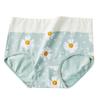 4Pcs High Waist Panties Women Breathable Cotton Underwear Cute Print Seamless Briefs Intimates