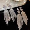 Exaggerated Tassel Earrings: Fashionable  Elegant  Long High-end  and Luxuriously Chic