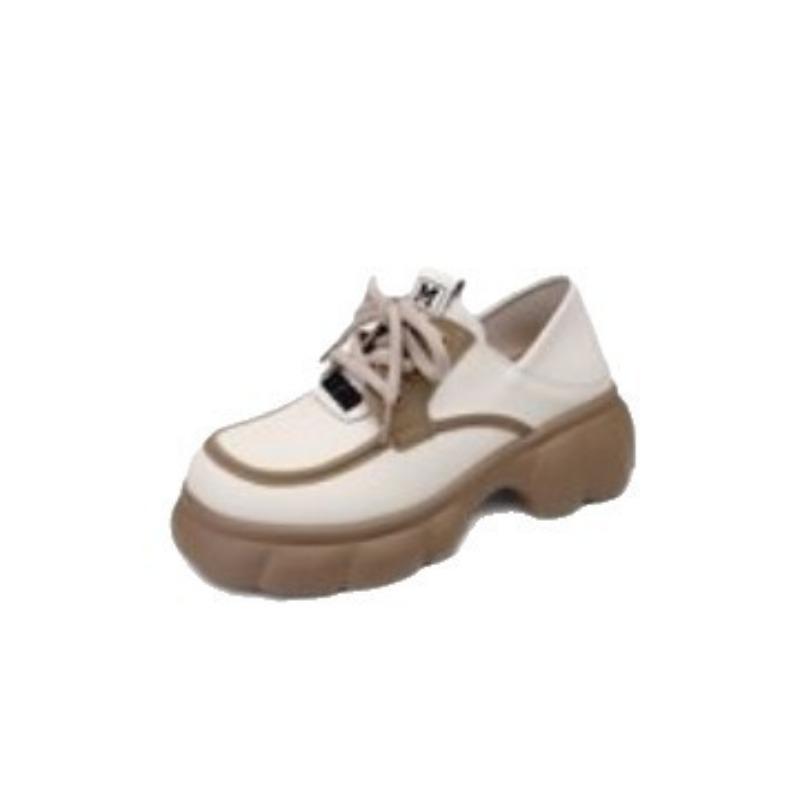 Autumn New Versatile Student Fried Street Lace-up Single Shoes Women's Platform Two Wear Small Leather Shoes