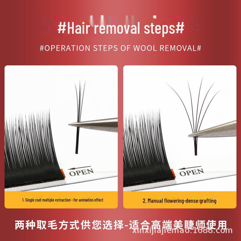 Natural Thick Camellia Eyelash Extensions - Fast Blooming Chinese False Eyelashes