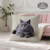 1pc Throw Pillow Covers, Gray Cat Pattern Short Plush Pillowcase, Perfect for Patio Furniture Cushions, Office Decor, Living Room Decor