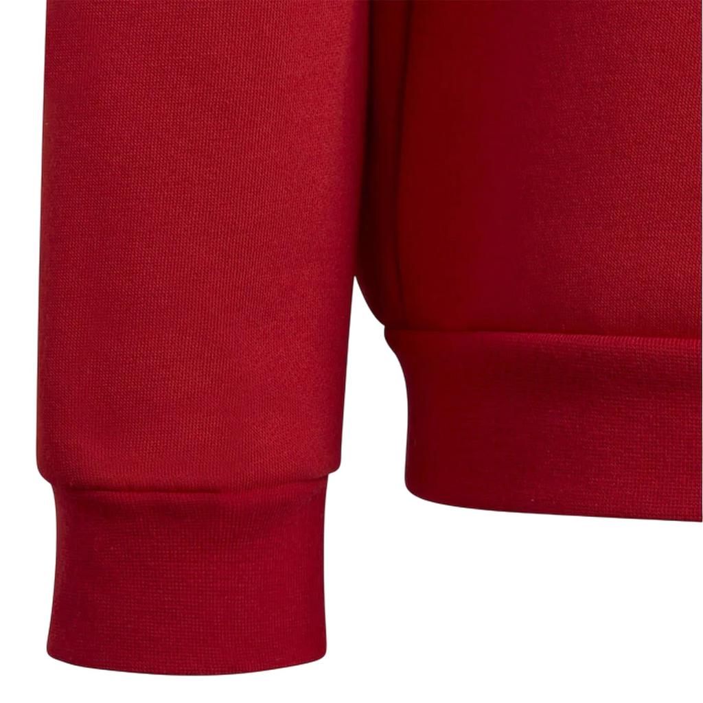 Adidas Childrens/Kids Entrada 22 Sweatshirt