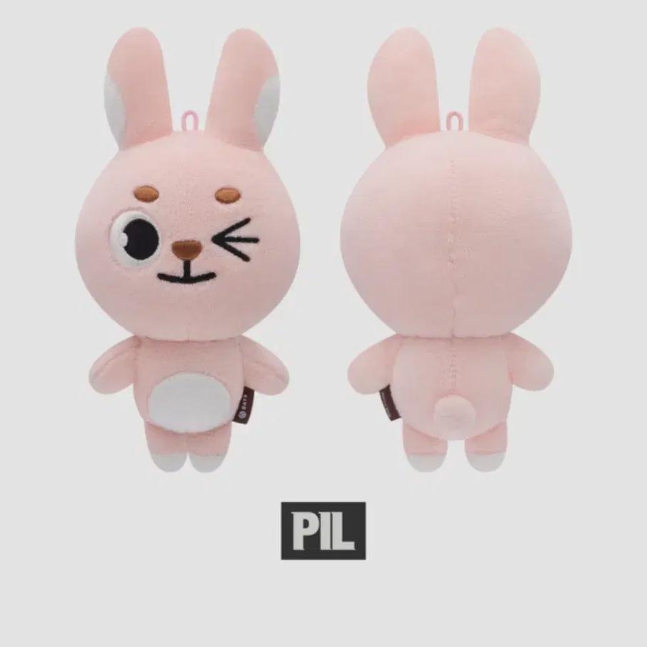 

Запечатанный 19 Pil Ki Winky Denimals Wonpil Day6