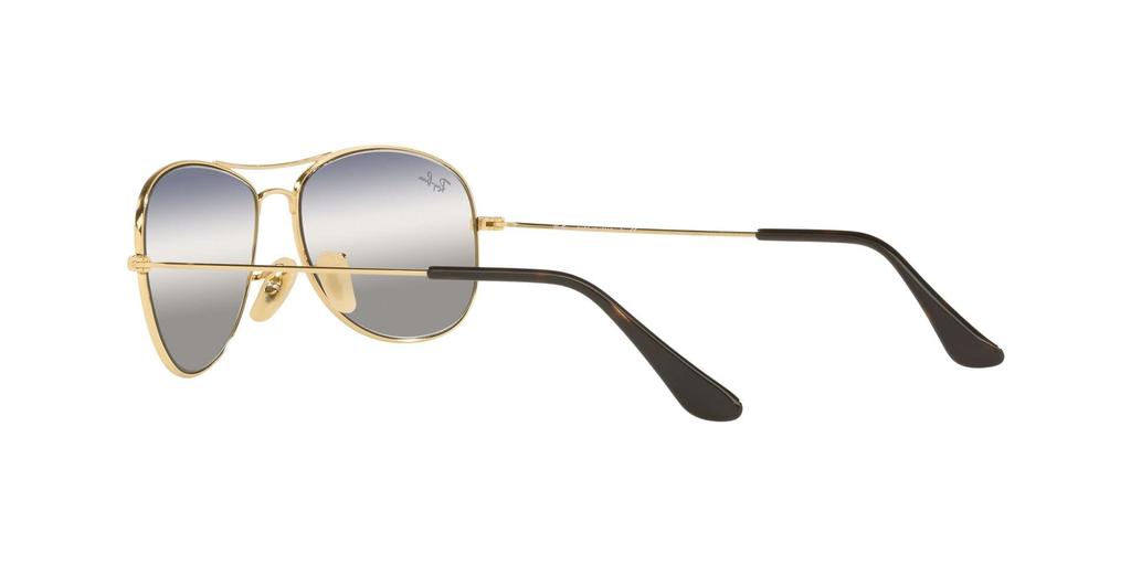 ARISTA 56 Sunglasses RB3362 Ray-Ban Men's