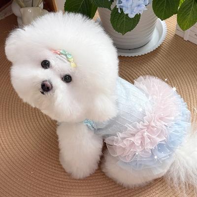 Sommer Neues Haustier Chiffonkleid Kleine Haustierkleidung Bichon Frise Zwergspitz Hund Feenkleid Haustier Katze und Hund