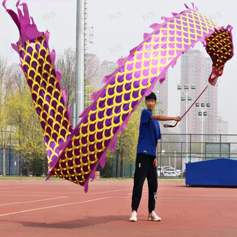 Gilded Dragon Dance Ribbon with Telescopic Pole