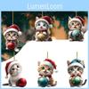 Hat Cat Christmas Car Hanging Decor Acrylic Pendant Tree Ornament Travel Holiday