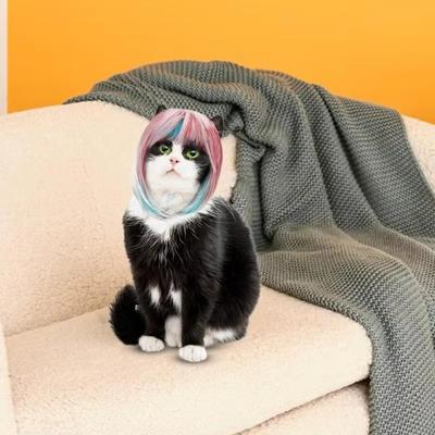 Universal Long Hair Dog Cat Costume Wig Dream Look Colorful Blue Pink Wig Funny Dog Headwear Costume Party