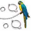 Anti-Lost Training Activity Parrot Foot Rings Bird Supplies Bird Leash Accessories Bird Leg Rings