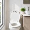 Removable Glow in the Dark Toilet Sign Sticker Anti Static Waterproof Adhesive Decal for Bathroom Use Durable and Easy to Apply