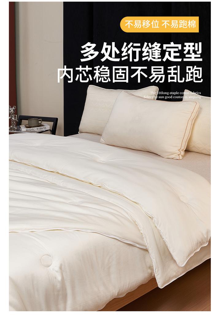 High Count Cotton 99% Soybean All Season Light Luxury 2-in-1 Household Thick Quilt