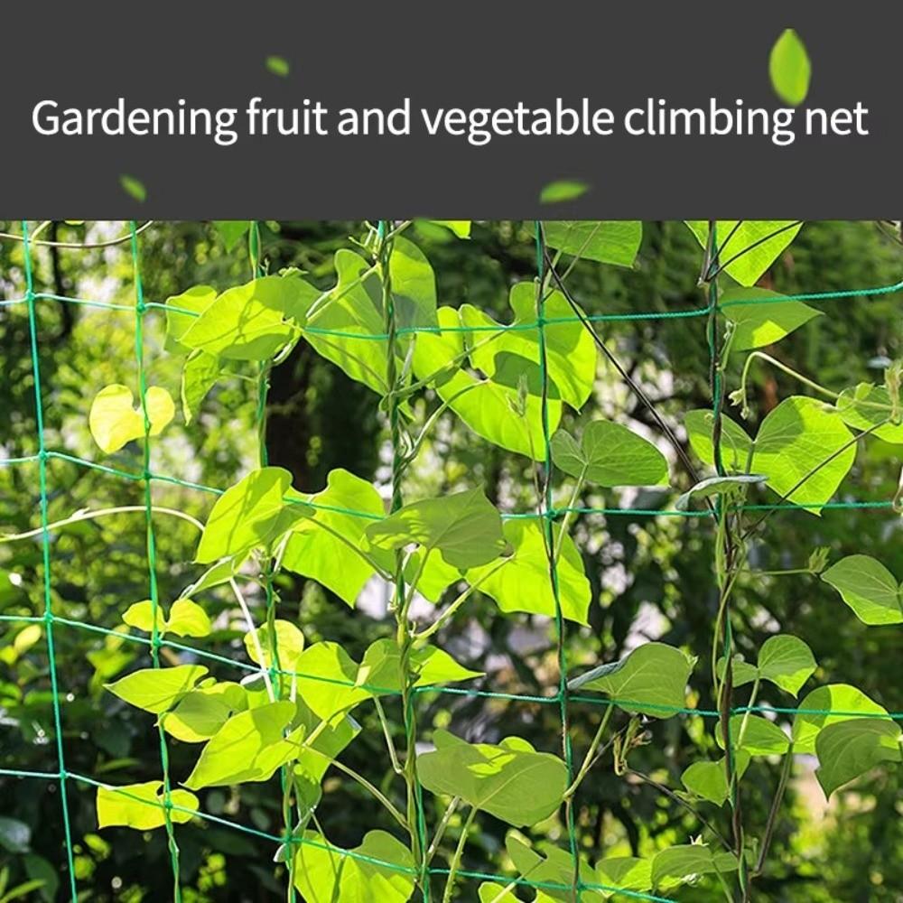 Flexible Rope Garden Trellis Netting High-quality Nylon Climbing Plants Netting  Climbing Plants