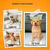 Pet Urine Absorption Pads - Quick-Dry, Absorbent Clean-Up for Dogs & Cats