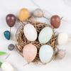 Wooden Educational Pretend Play Set: Colorful Bird, Chicken, and Duck Eggs for Kindergarten Science Learning