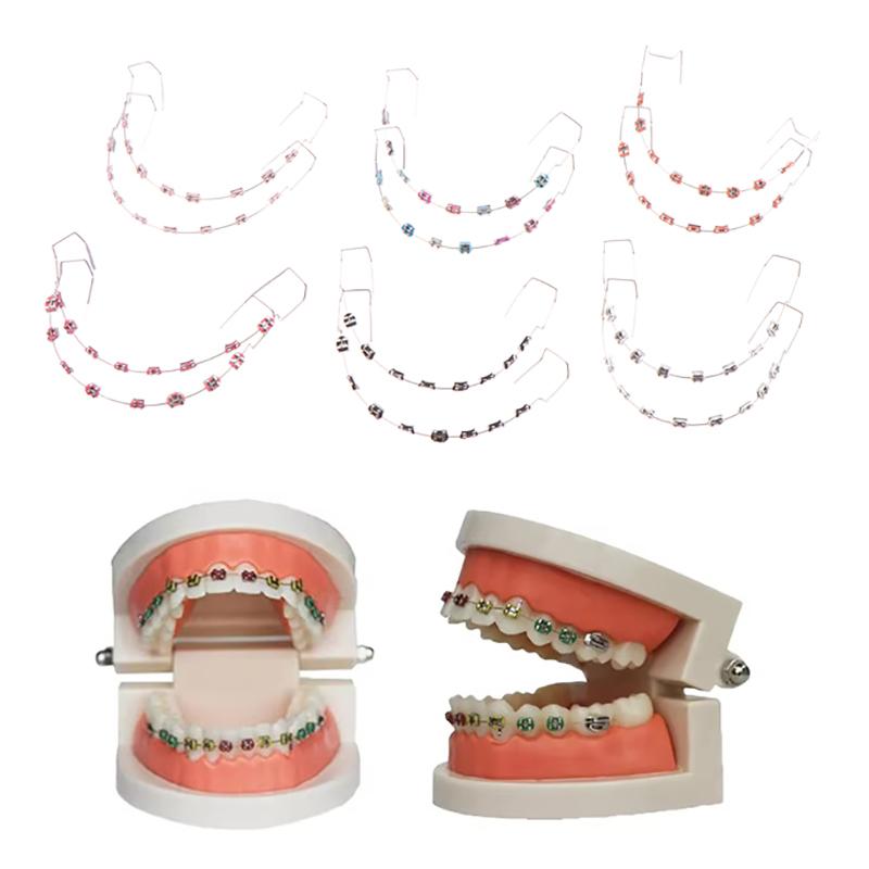 1 Paar Bunte Temporäre Zahndekoration Mit Metalldrähten Metallbrackets Und Kieferorthopädischen Ligaturen Dentaldekorationen