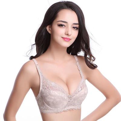 Women's Bra Ultra-thin Bra Plus Size Sexy Lingerie Lace Bra
