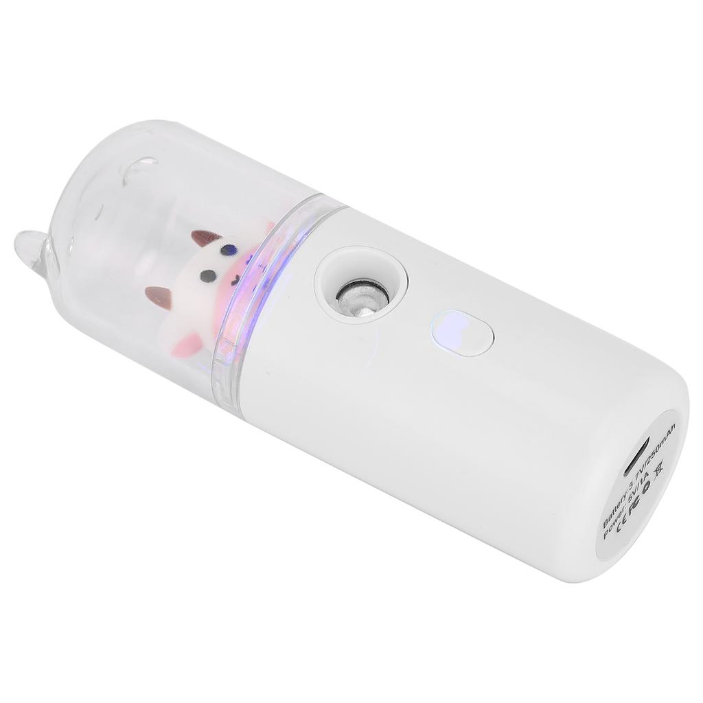 30ml USB Rechargeable Handheld Mist Sprayer Face Moisturizing Hydrating Mist Sprayer