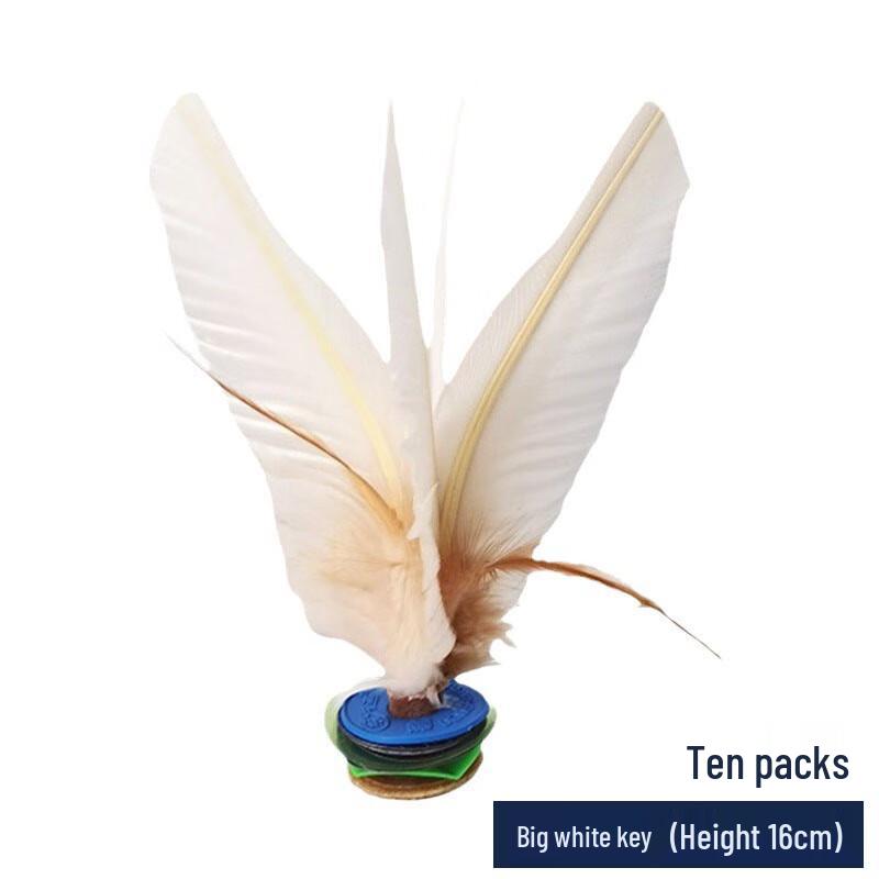 Haojiali Goose Feather Shuttlecocks (10-Pack)