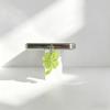 Lucky Four-Leaf Clover Phone Dust Plug Fresh Green Charging Port Dust-Proof Protective Plug Universal for Iphone/Android Phones Decorative Charm Good