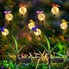 Solar Powered Butterfly Glass Ball Lights - Outdoor Waterproof Decorative Stake Lights for Garden, Patio & Spring Decor