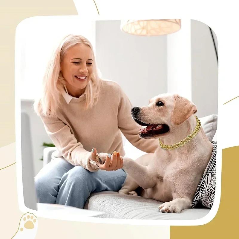 Hundekæde Halsbånd Luksus Guld Kæledyr Metal Kæde Halsbånd Til Små Mellemstore Store Hunde Katte Kæledyr Smykker Halskæde Tilbehør