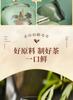 Jieying Green Tea Mingqian Xinyang Original Maojian 2026 New Tea Spot Tea Gift Box 250g High End Free