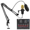 "BM800+V8S Condenser Mic & Sound Card Kit for Mobile, Recording & Live Broadcasts"