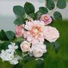 2Pcs Outdoor Wedding Simulation Rose Green Plant Welcome Corner Flower Decoration Set for Outdoor Patio Garden Home Wedding Holiday Party Decoration