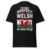 Ich bin nicht perfekt, aber ich bin Waliser - Lustiges Wales-Stolz-T-Shirt
