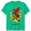 St Davids Day Welsh Flag Dragon Daffodil Wales Festival T Shirt Unisexs Kids Unisex