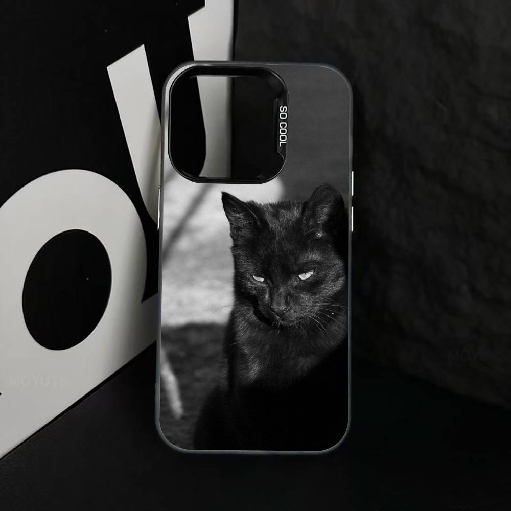 

Black cat Phone Case For iPhone 17,16,15,14,13,12,11 Plus,Pro Max,XS,Colorful Silver Phone case Funda Cover iPhone17