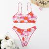 New Swimsuit European and American Beach Sexy Print Tight Split Bikini Swimsuit Female Bikini