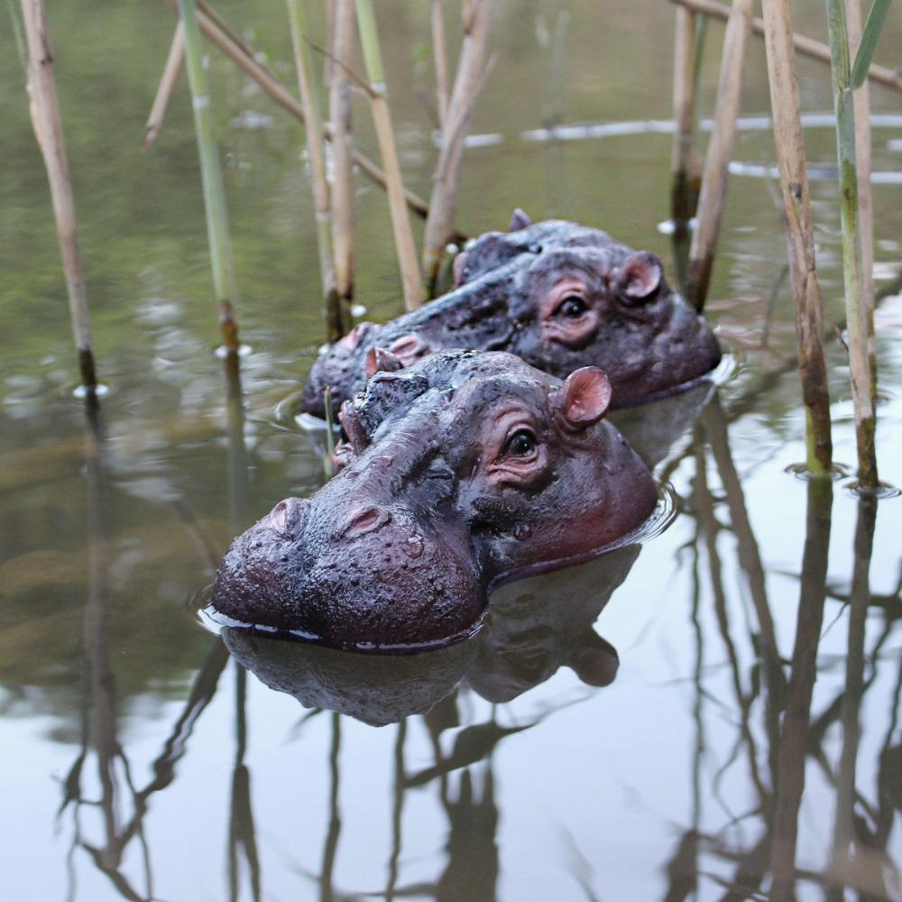 Funny Floating Hippopotamus Ornaments Resin Craft Animal Figurines Decoration  Garden Lawn Pond
