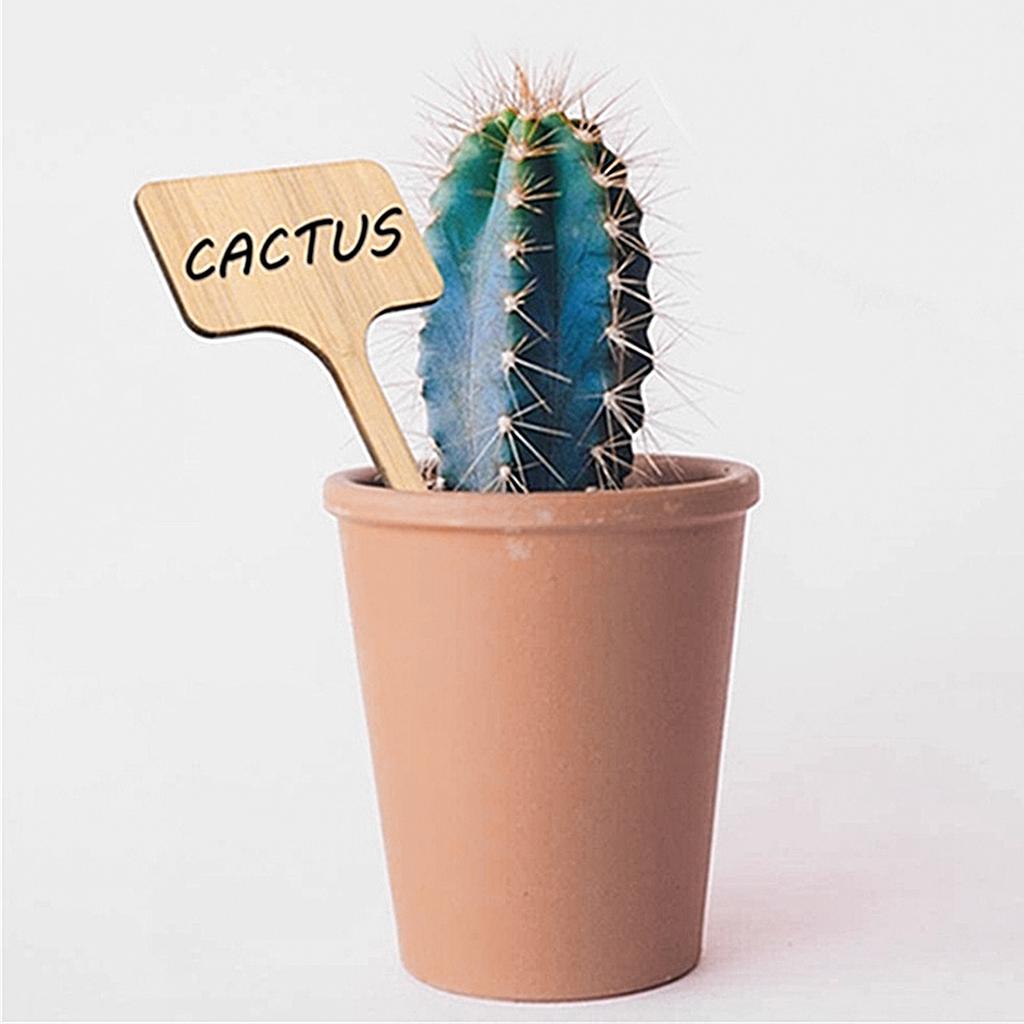 10PCS Wooden Plant Tags for Succulents 10x6cm Creative Garden Markers Flower Pot Labels Accessories